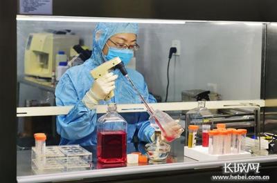 河北 '去'出發(fā)展新空間 '轉(zhuǎn)'來(lái)發(fā)展新動(dòng)能——生物技術(shù)開(kāi)發(fā)引領(lǐng)新時(shí)代高質(zhì)量發(fā)展